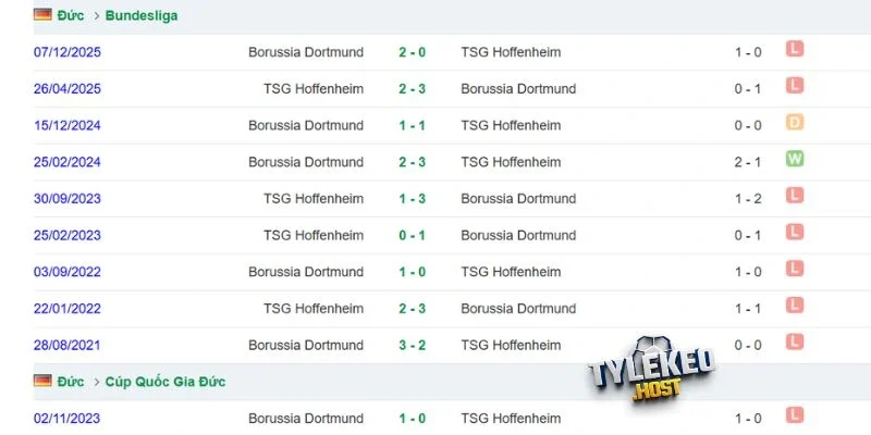 Lịch sử tranh tài giữa Hoffenheim vs Dortmund
