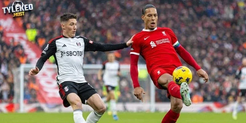 Phong độ Liverpool và Fulham trên sân cỏ
